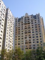 泉綠水性多彩塗料