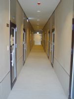 泉綠水性多彩塗料